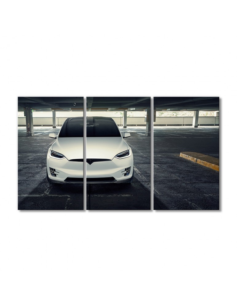 

Модульная картина Artel «Автомобиль Тесла модель X 2020 года» 3 модуля 90x135 см