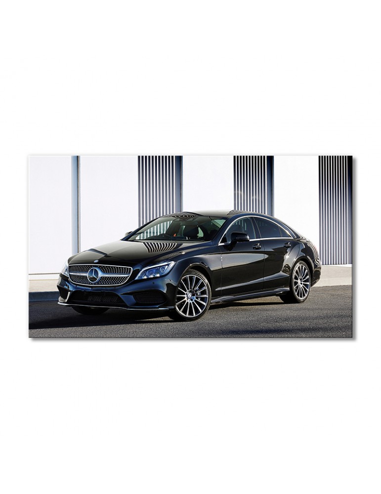 

Модульная картина Artel «Автомобиль Мерседес Бенц CLS 500» 1 модуль 50x75 см