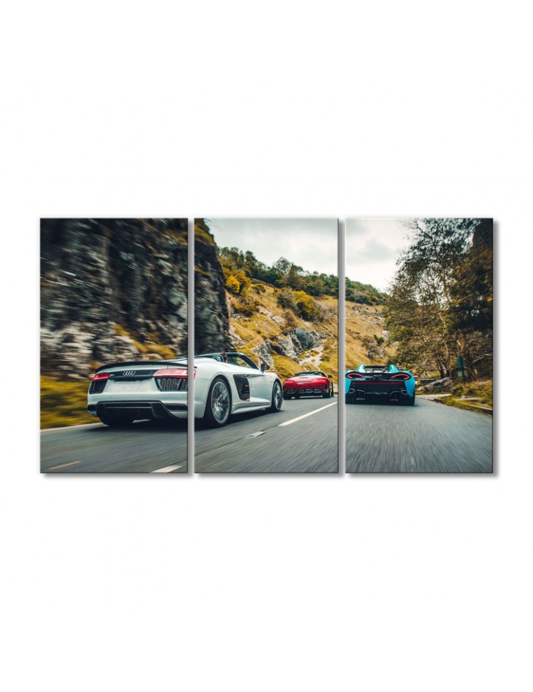 

Модульная картина Artel «Автомобили гоняют Ауди R8 V10» 3 модуля 60x90 см