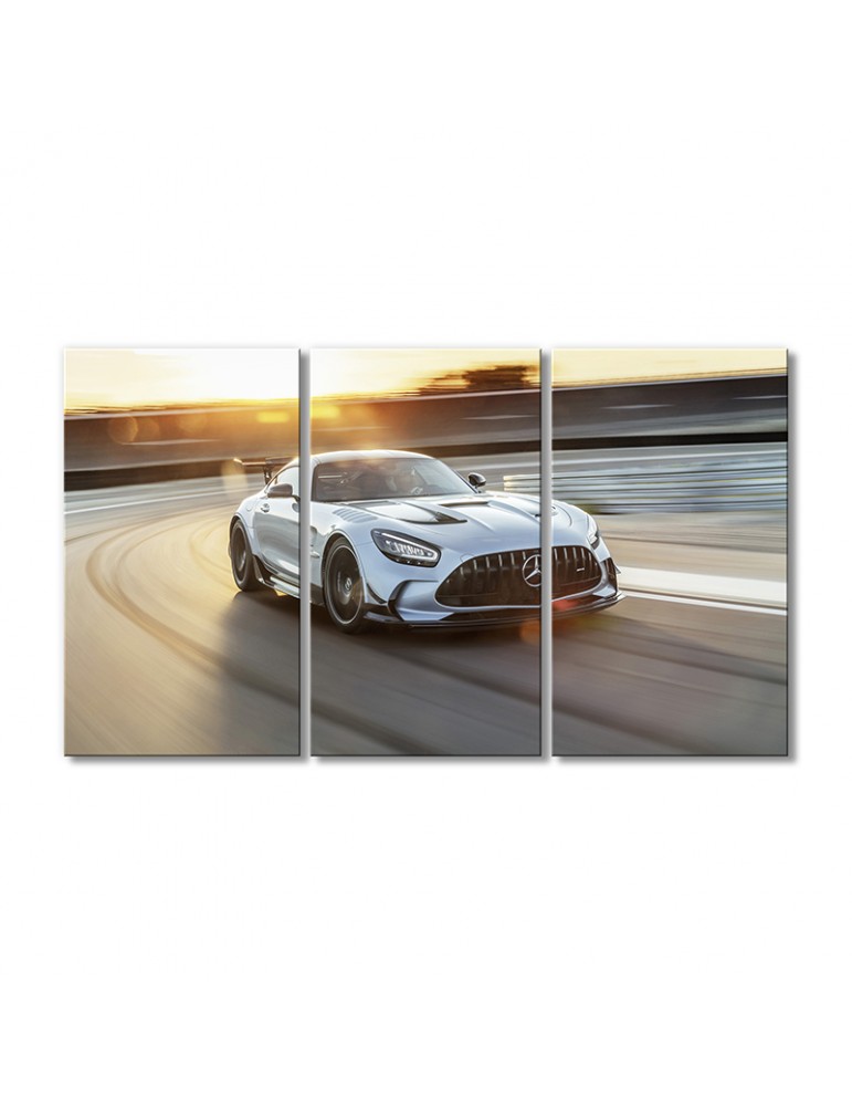

Модульная картина Artel «Автомобиль Мерседес AMG GT» 3 модуля 80x120 см