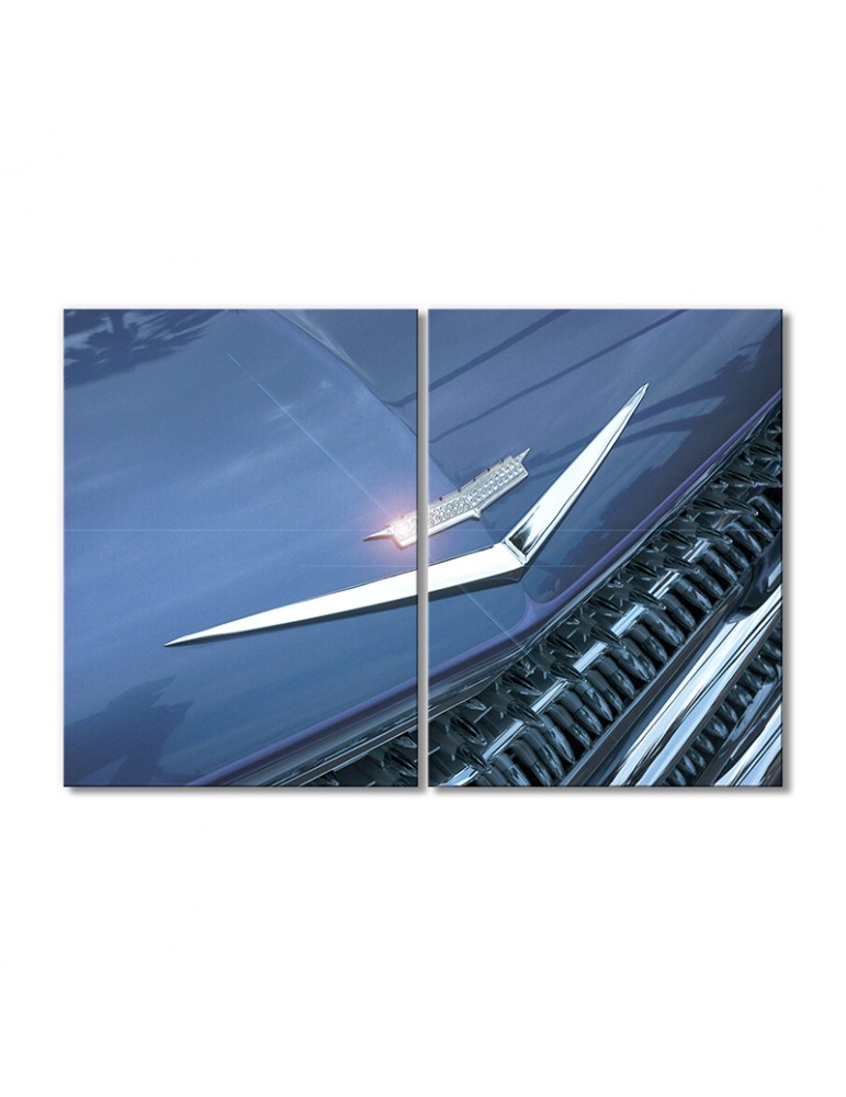 

Модульная картина Artel «Автомобили эмблема 1959 Кадиллак Эльдорадо» 2 модуля 40х60 см