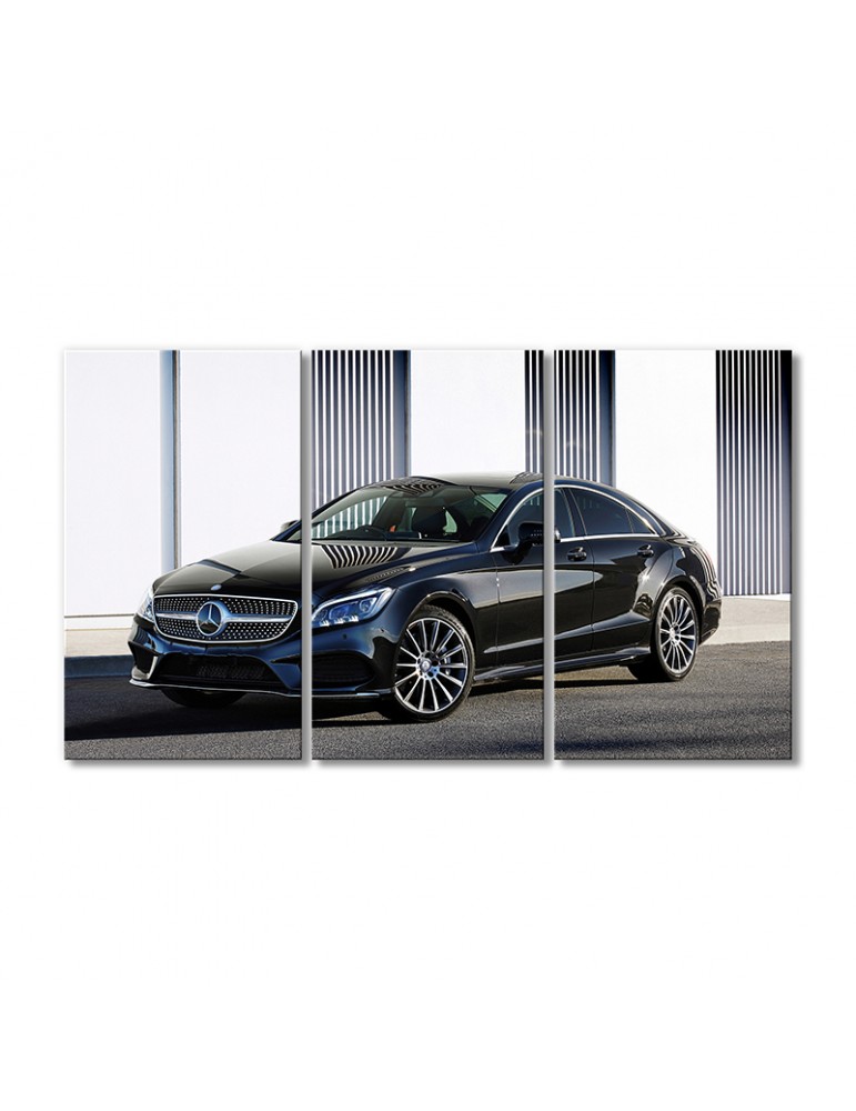 

Модульная картина Artel «Автомобиль Мерседес Бенц CLS 500» 3 модуля 80x120 см