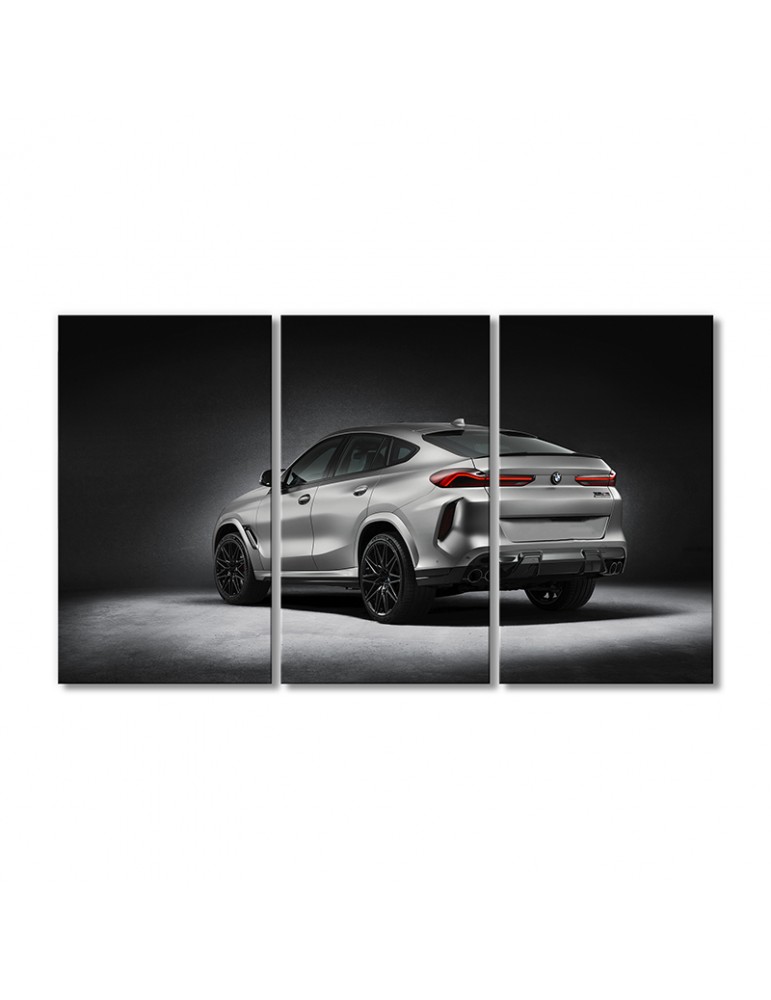 

Модульная картина Artel «Автомобиль БМВ X5 M X6 M» 3 модуля 70x105 см
