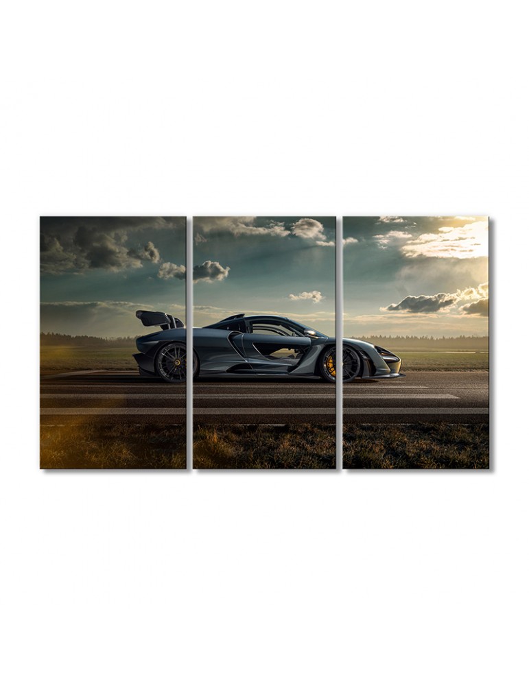 

Модульная картина Artel «Автомобиль МакЛарен Сенна» 3 модуля 90x135 см