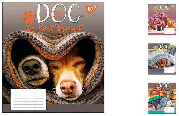 

Тетрадь А5 18 листов в клетку Dog friend (25 шт. в упак) YES (765509)