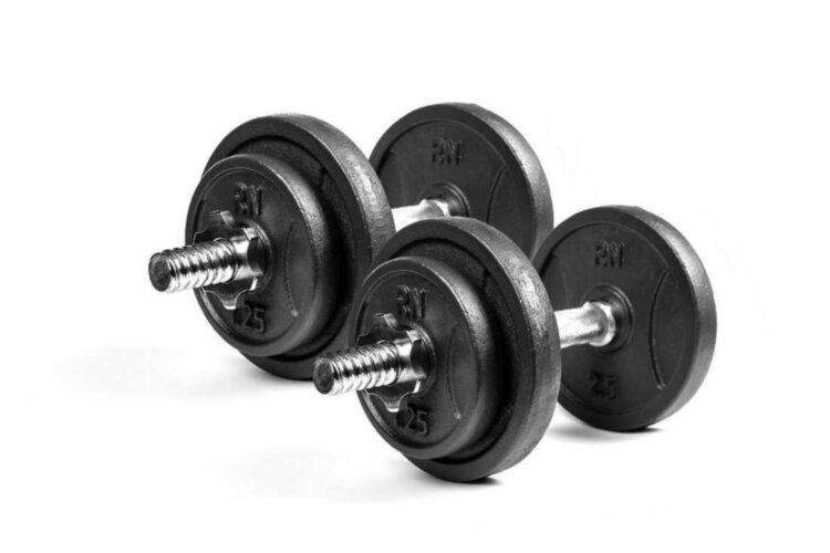 

Гантели разборные чугунные 2 шт по 8.5 кг RN-Sport (rns_RN_QTR8х2)