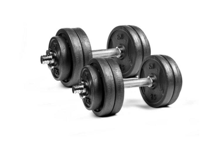 

Гантели разборные чугунные 2 шт по 13.5 кг RN-Sport (rns_RN_QTR13х2)