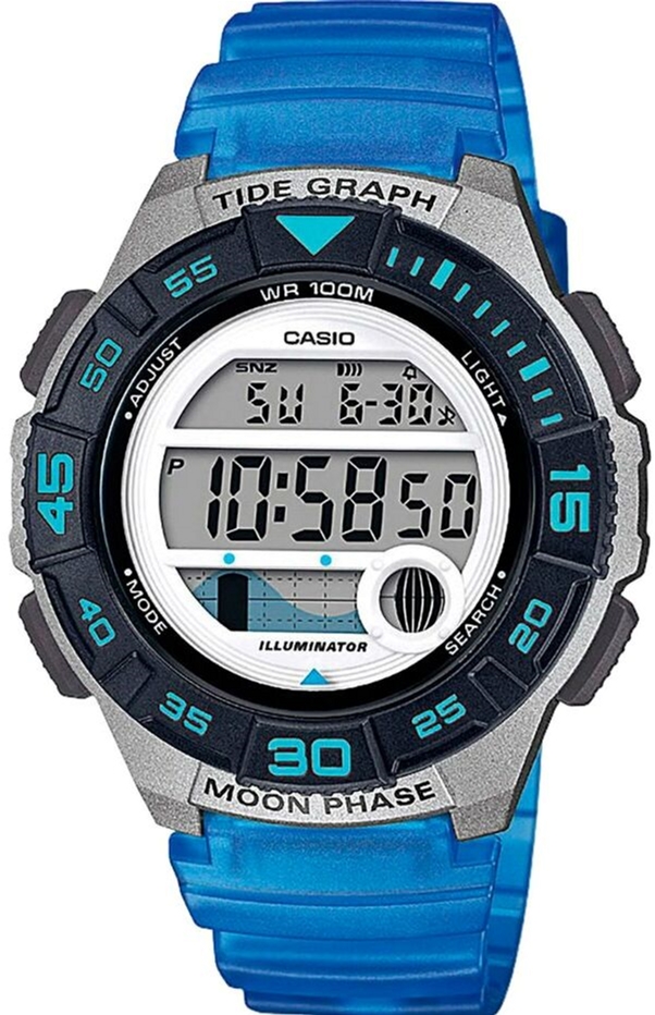 

Мужские часы CASIO LWS-1100H-2AVEF