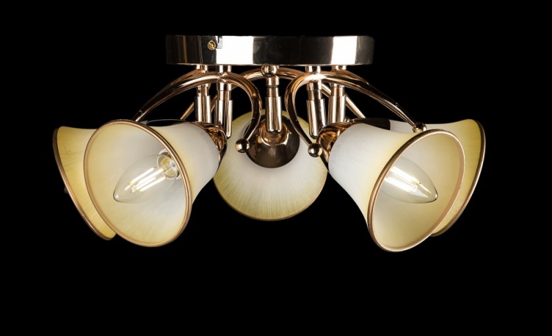 

Люстра с плафонами Ray L99065/5 (AN001652)
