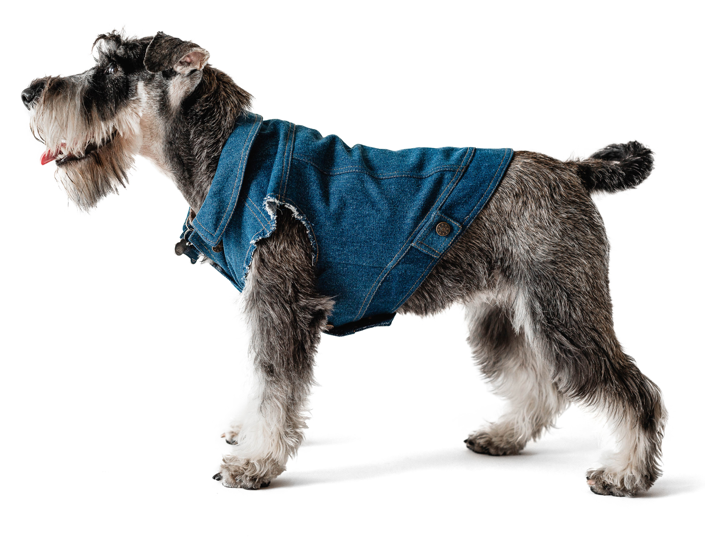 

Жилет для собак Noble Pet Oskar XL Denim Blue (O4109/XL)