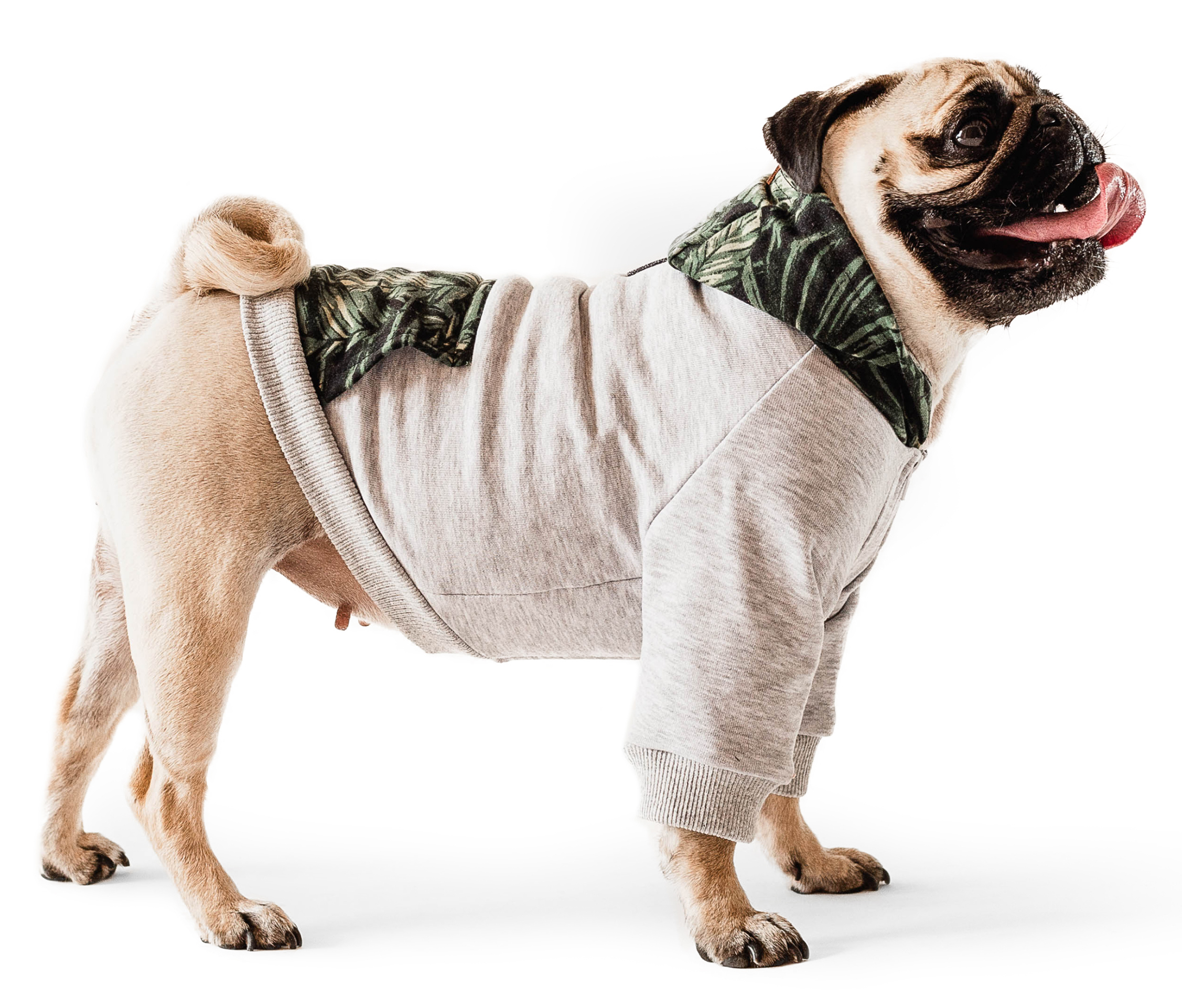 

Кофта-худи для собак Noble Pet Franklin XL Grey/Palm (F4114/XL)