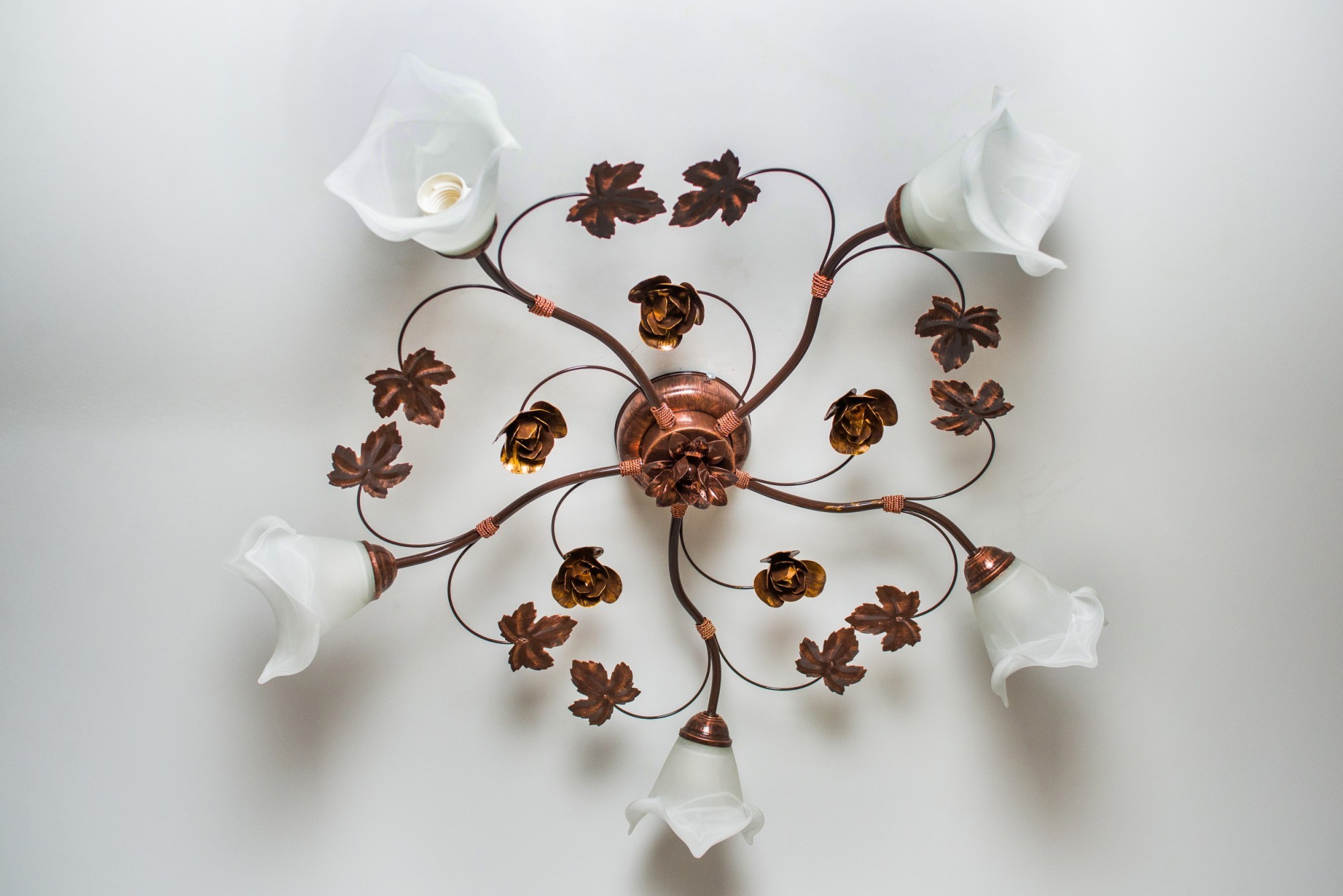 

Люстра флористика Grand Versal Клен (5004-9)