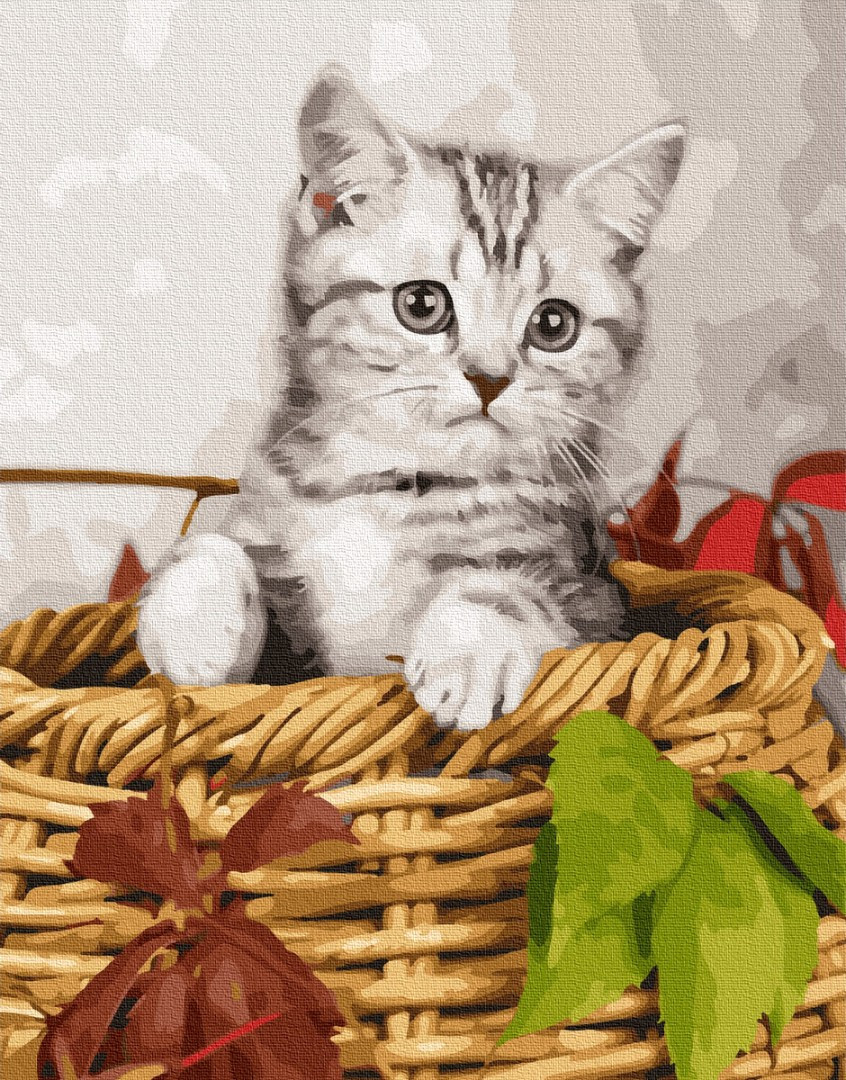 

Картина по номерам без коробки Paintboy Котёнок в корзине 40х50см (GX 26366)