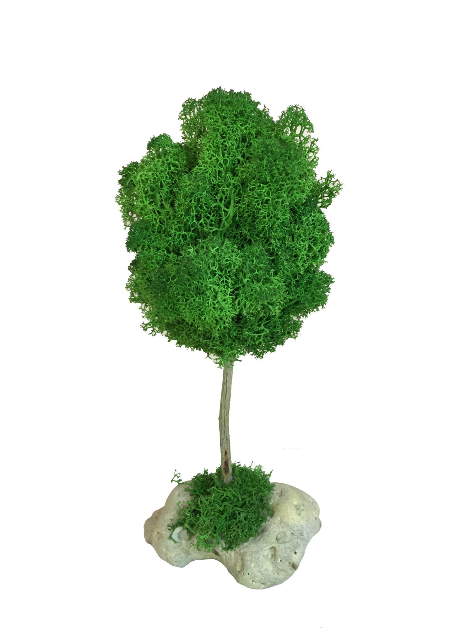 

Стабилизированный мох дерево Reindeer Moss b/51/05/500/21 темный зеленый