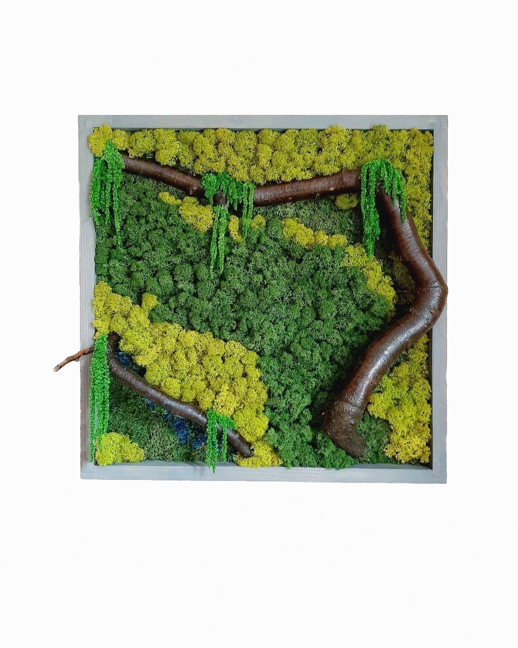 

Картина из мха Reindeer Moss W20/450/04/800 50x50 зеленый