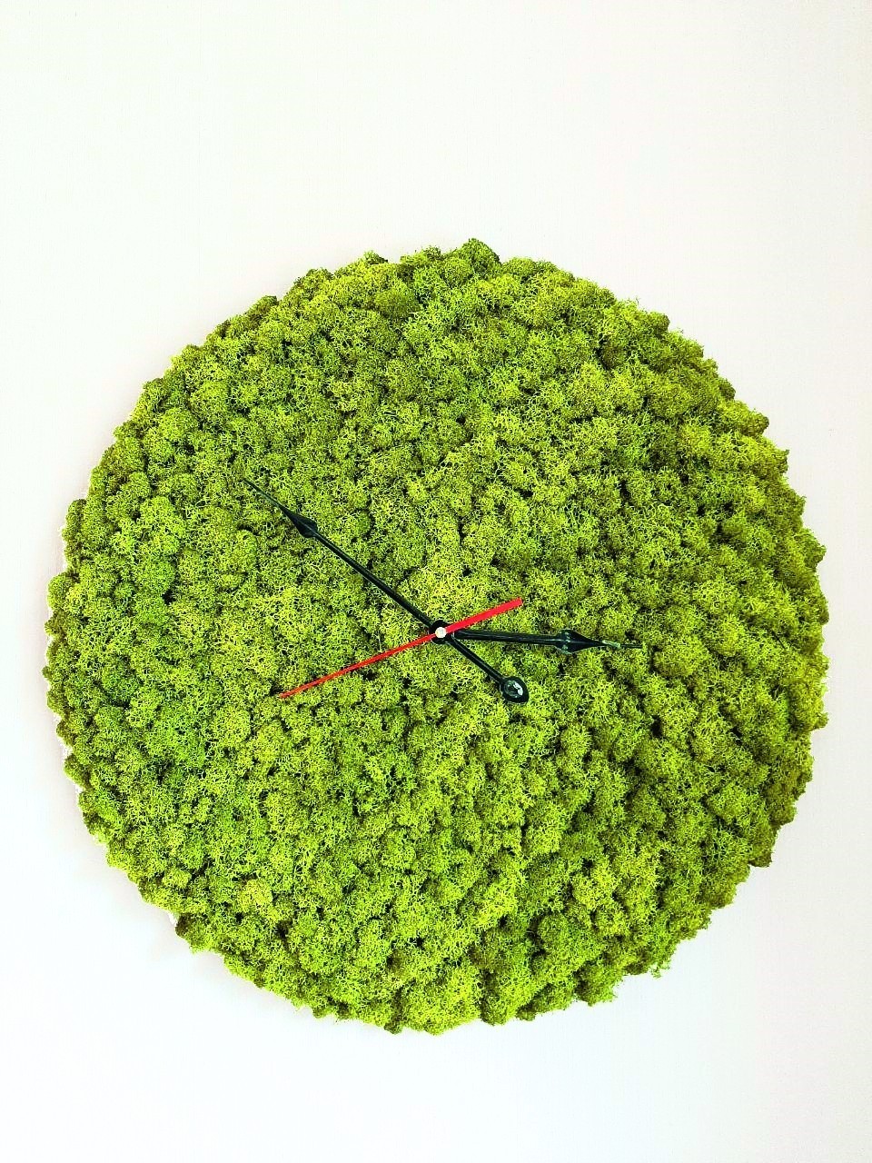 

Часы Стабилизированный мох Reindeer Moss b/055/02/500/55 светло-зеленый