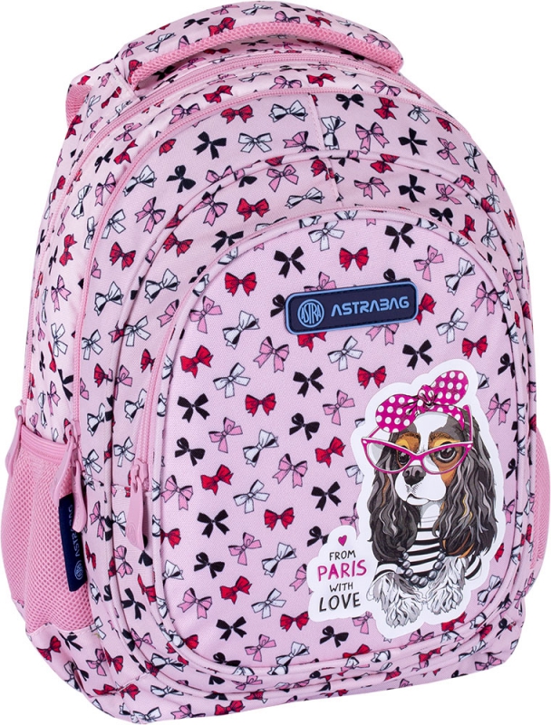 

Рюкзак подростковый Astra AB330 Sweet Dog With Bows Розовый (502021562)