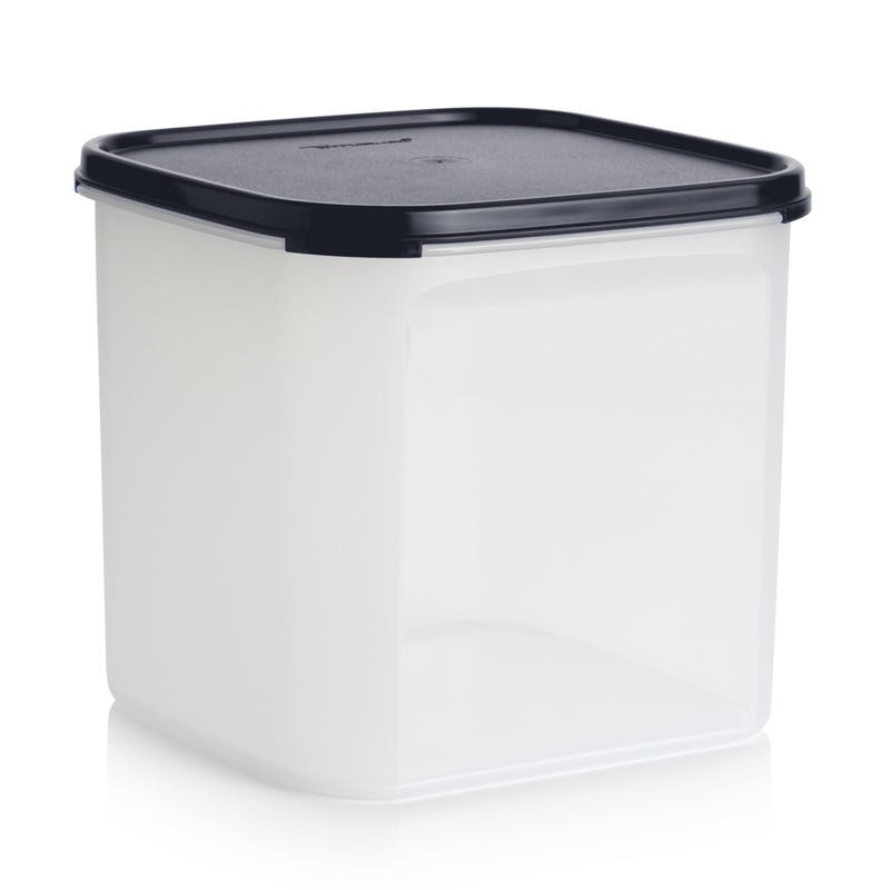 

Контейнер Компакт 4 л Tupperware