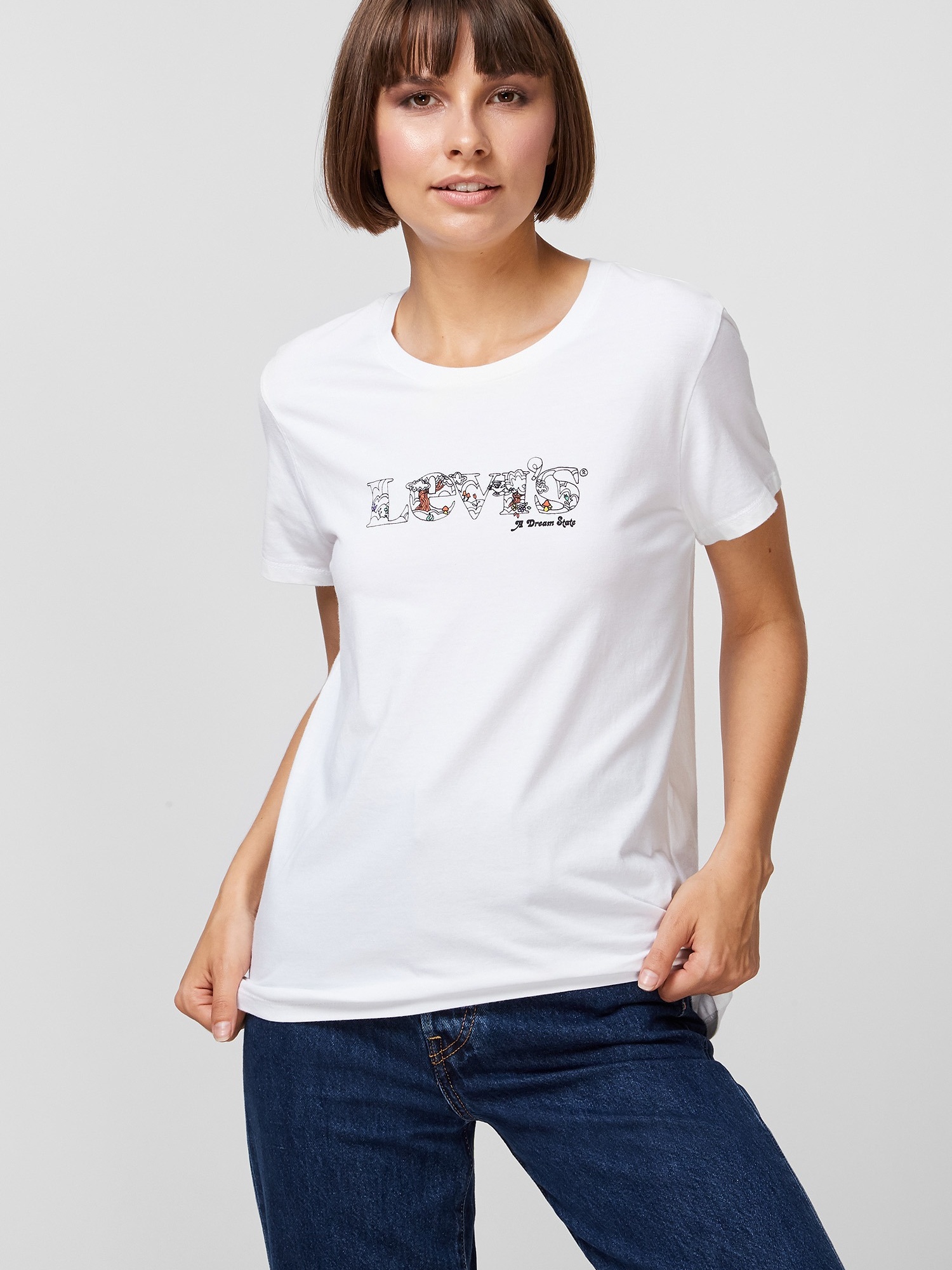 

Футболка Levi's The Perfect Tee Dream State Modern Vint 17369-1623, Футболка Levi's The Perfect Tee Dream State Modern Vint 17369-1623 M