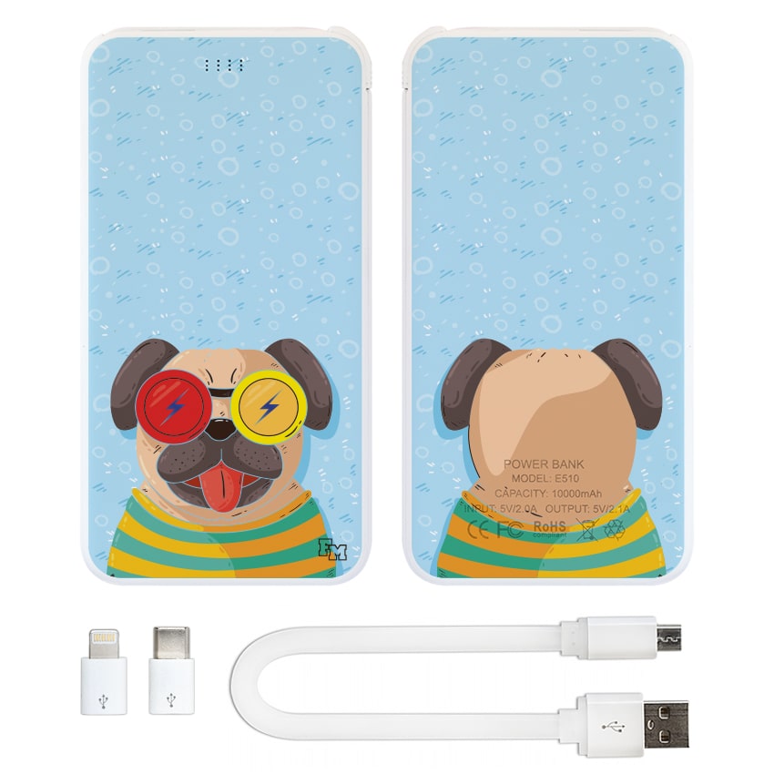 

FM Power Bank Полосатый Мопс 10000 mAh (E510-16)