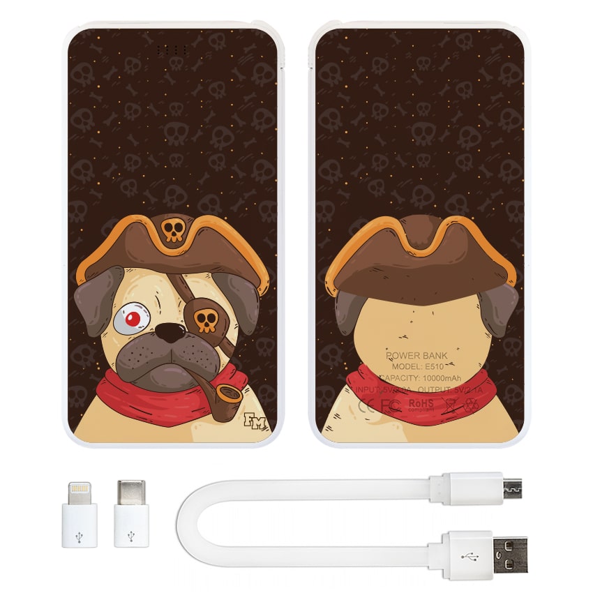 

FM Дополнительный аккумулятор Мопс-пират 10000 mAh (E510-29)