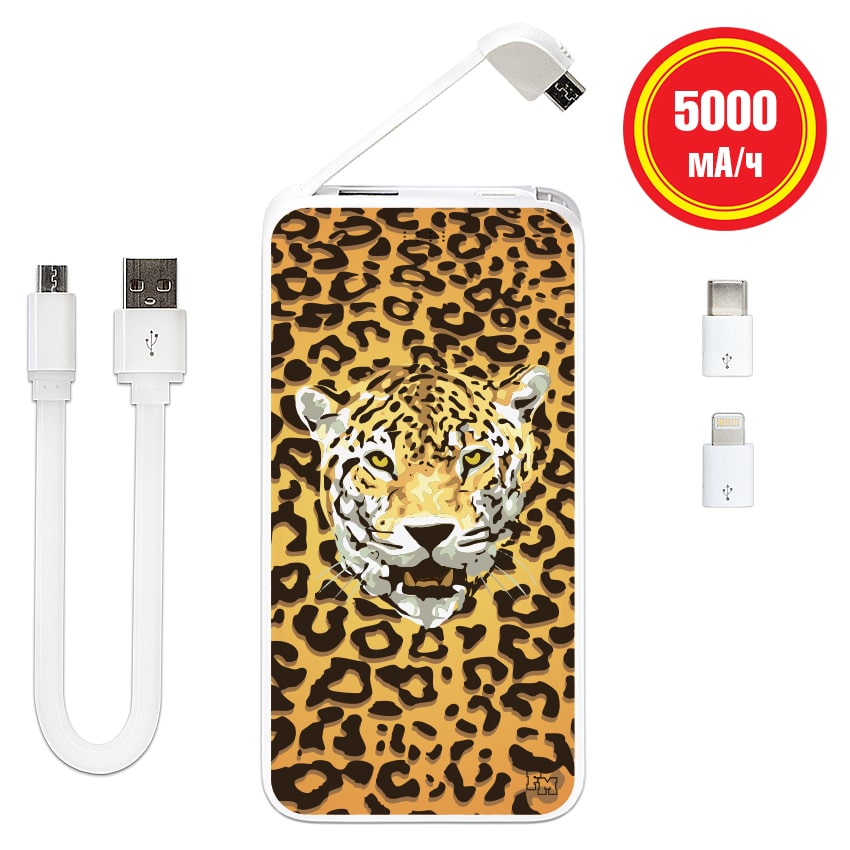 

FM Универсальная мобильная батарея Леопард 5000 mAh (E505-19)