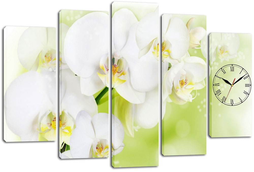 

Модульная картина с часами DK Place 80x120 см (m5c-chf4)