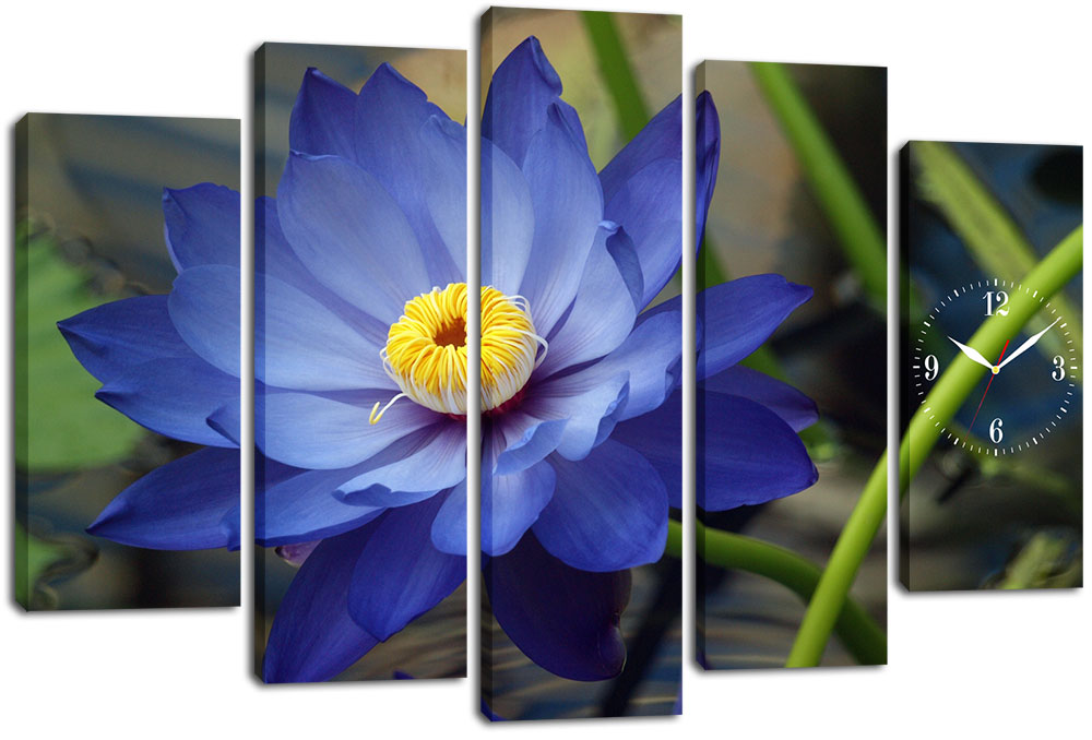 

Модульная картина с часами DK Place 80x120 см (m5c-chf30)
