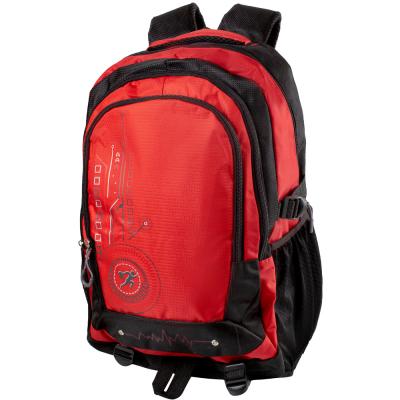

Рюкзак спортивный Valiria Fashion DETAT2105-1