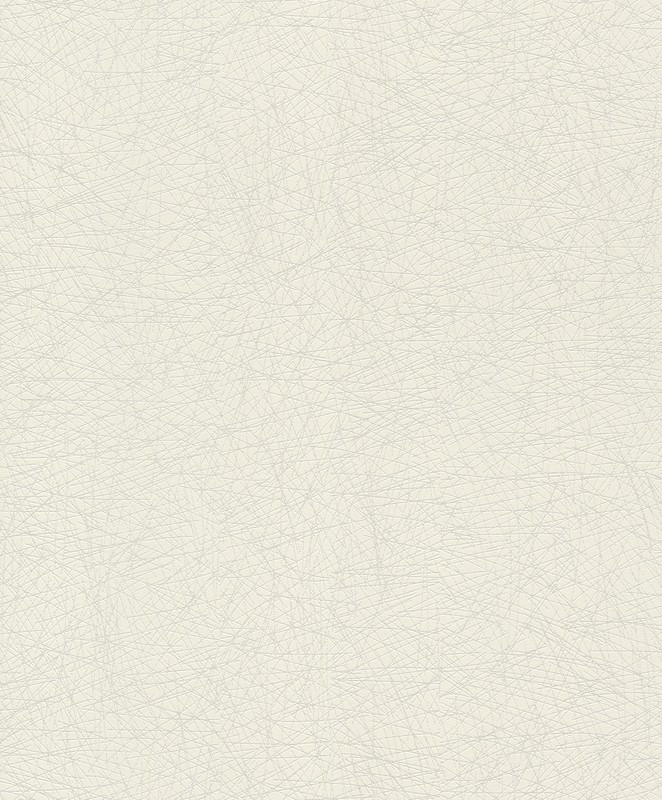 

Обои Rasch Rock´n Rolle 541335