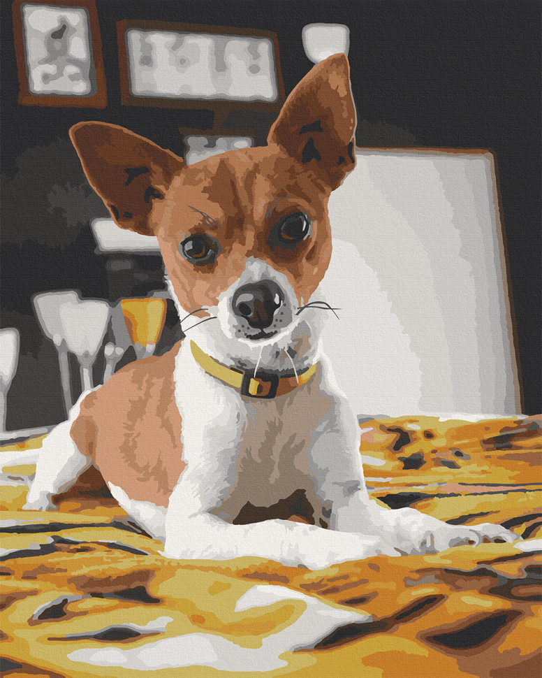 

Картина по номерам Art Craft Чихуахуа 40 x 50 см без коробки (23060121)