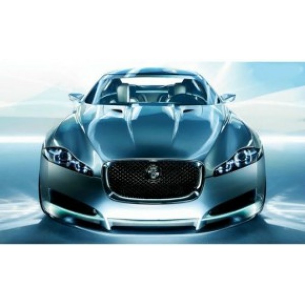 

Коврик для мыши Podmyshku Jaguar