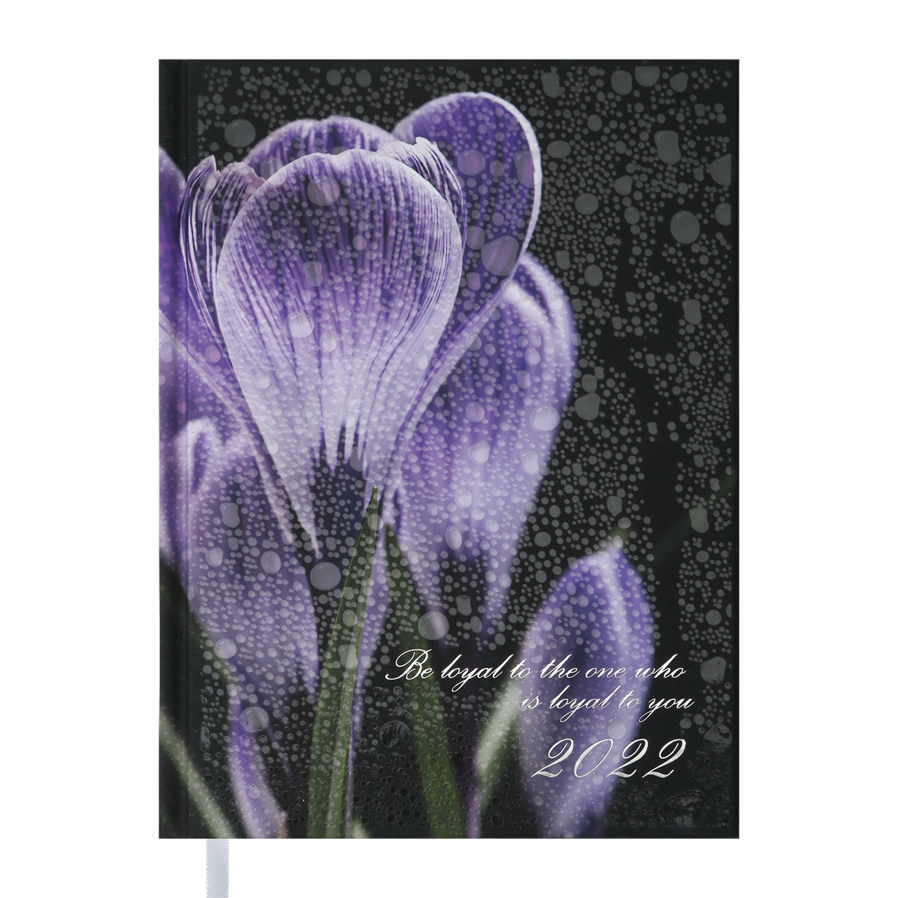 

Ежедневник Buromax датир. 2022 POSH, A5