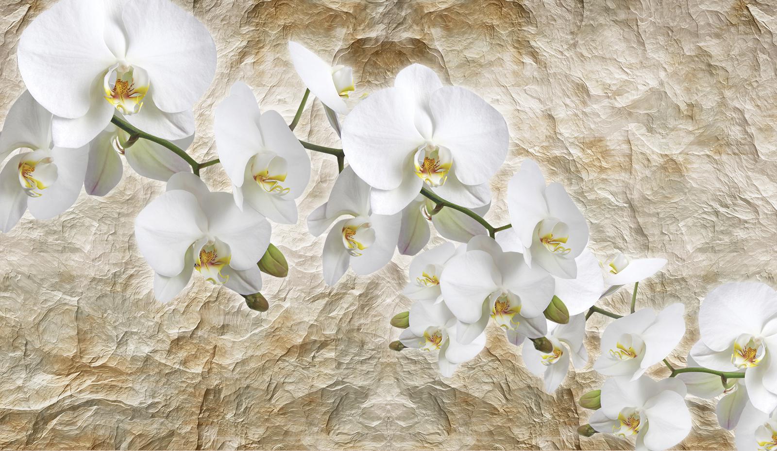 

Фотообои Walldeco Ветви белоснежных цветов №36809 Фреска
