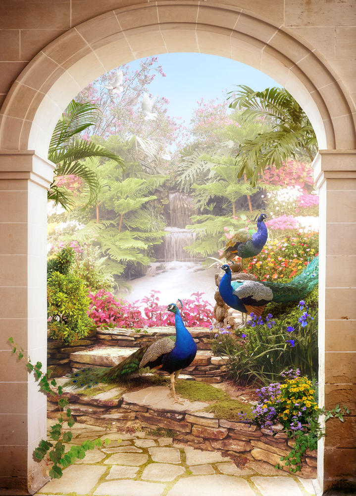 

Фотообои Walldeco Павлины №31208 Лоск