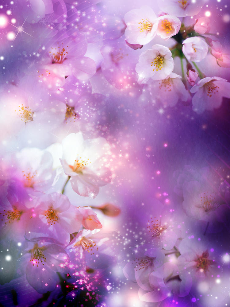 

Фотообои Walldeco Цветущая вишня №30313 Базальт