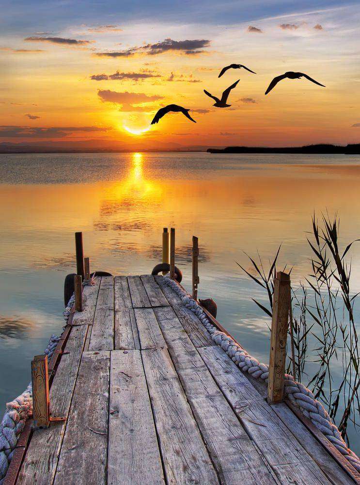 

Фотообои Walldeco Закат на озере №4545 Волокно