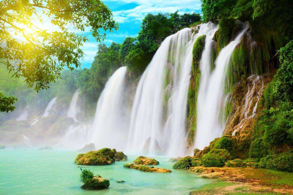 

Фотообои Walldeco Бурлящий водопад в лесу №0341 Лоск