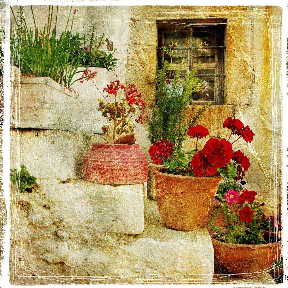 

Фотообои Walldeco Цветы в горшках на ступенях №0059 Жаккард