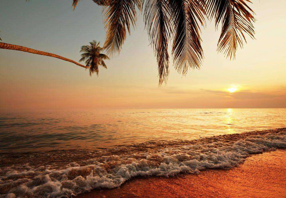 

Фотообои Walldeco Берег моря №4553 Базальт
