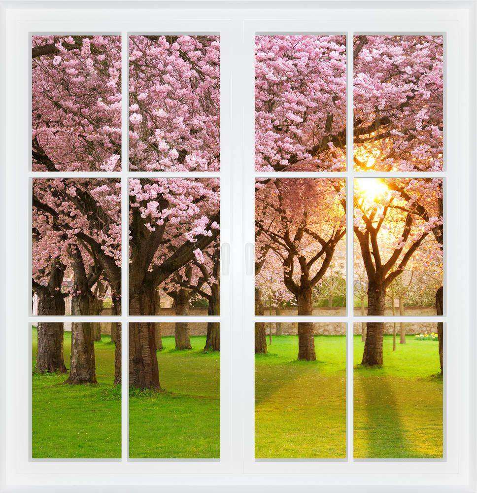 

Фотообои Walldeco Цветущие деревья №w_6105_4496 Фреска