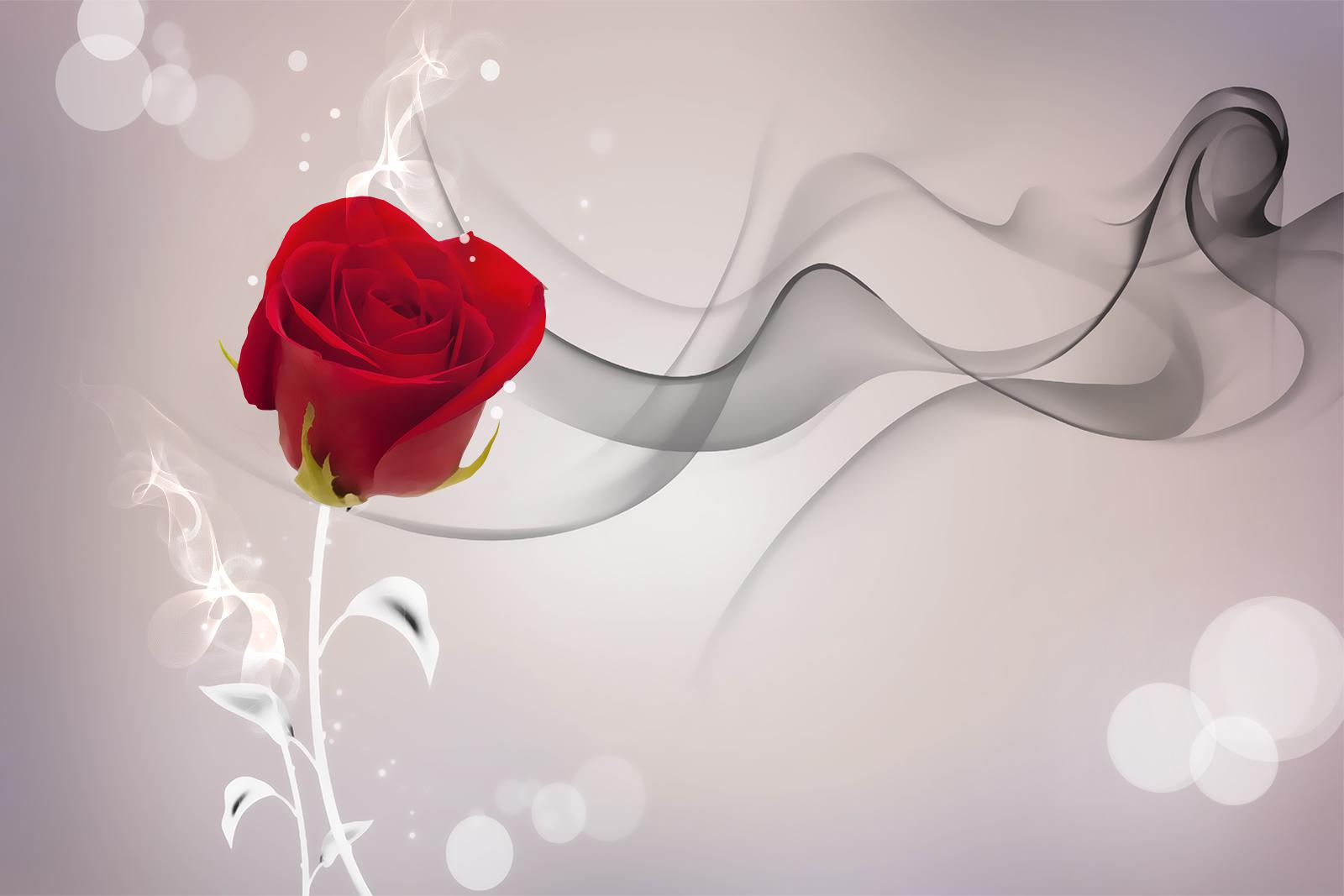 

Фотообои Walldeco Красный бутон №36804 Волокно