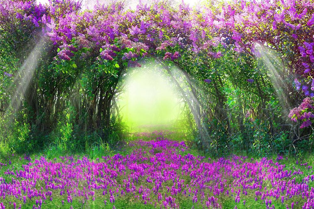 

Фотообои Walldeco Сиреневые цветы №33318 Жаккард