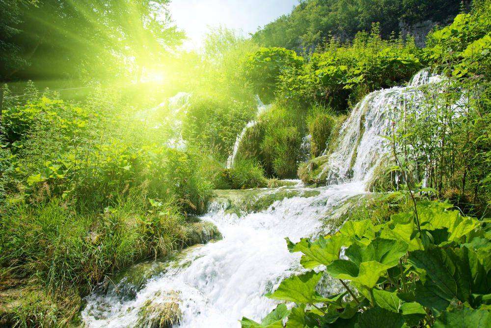 

Фотообои Walldeco Водопад в зеленом лесу №0345 Бриз