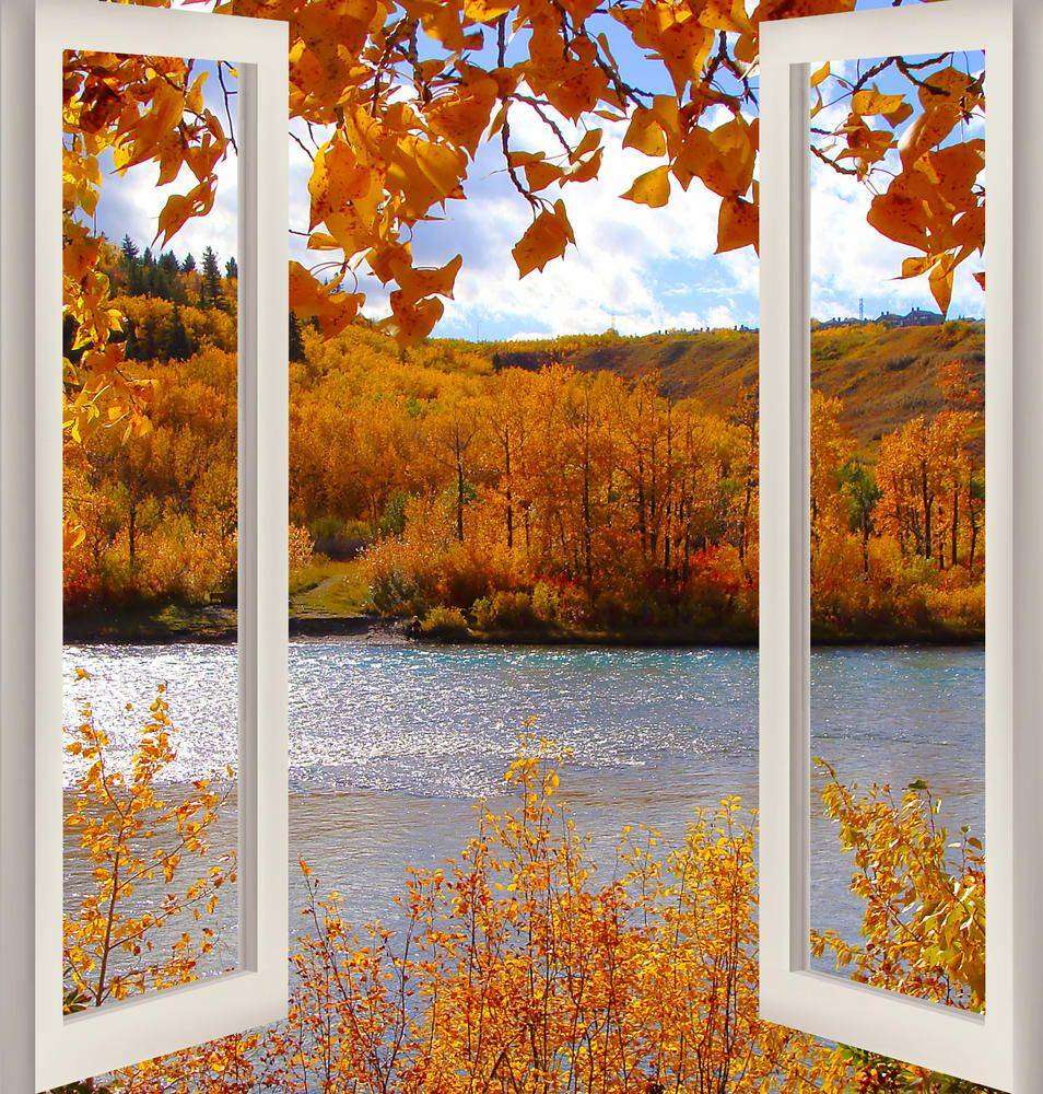 

Фотообои Walldeco Золотая осень №w_6117_5085 Волокно