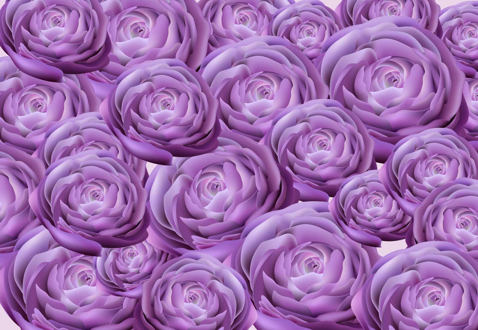 Лилово розовые цветы