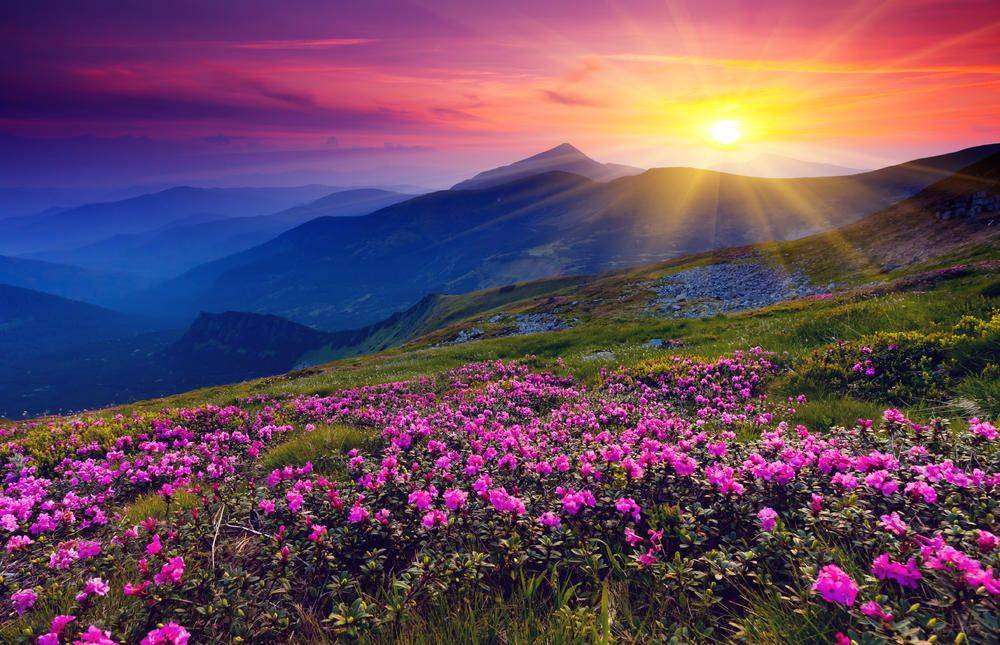 

Фотообои Walldeco Закат в горах №5511 Волокно