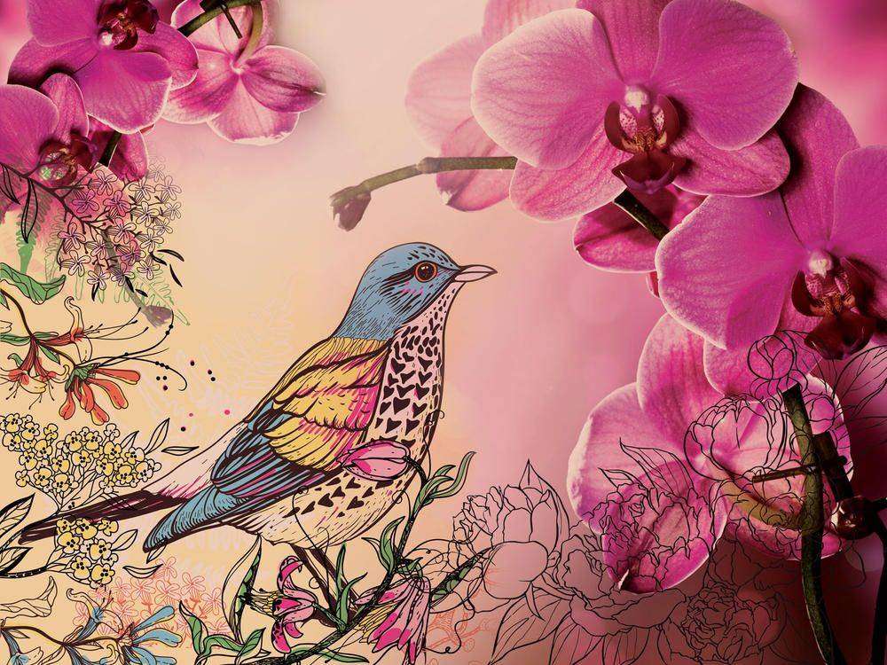 

Фотообои Walldeco Птица в цветах №23575 Базальт