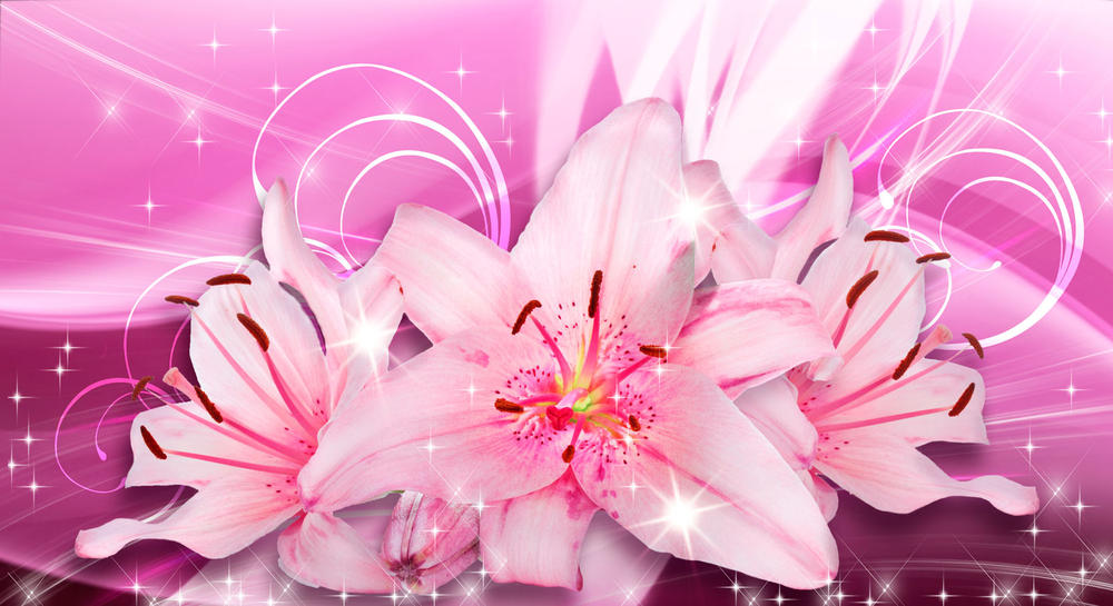 

Фотообои Walldeco Розовое сияние №31011 Деко