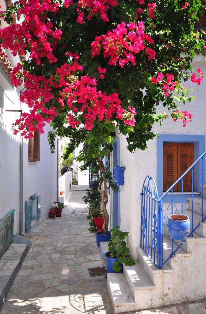 

Фотообои Walldeco Улица в Греции №3598 Волокно